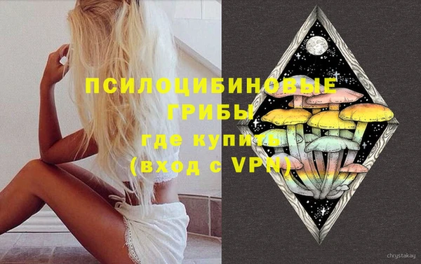 a pvp Арсеньев